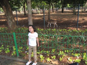 Senangnya lihat rusa totol